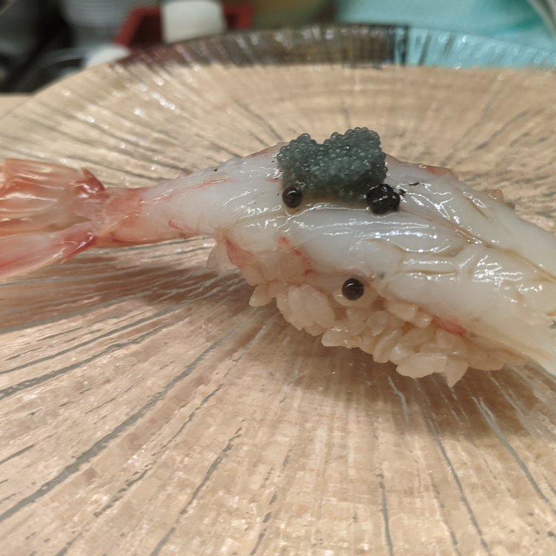 ボタン海老(鮨よしかわ 麻布十番)