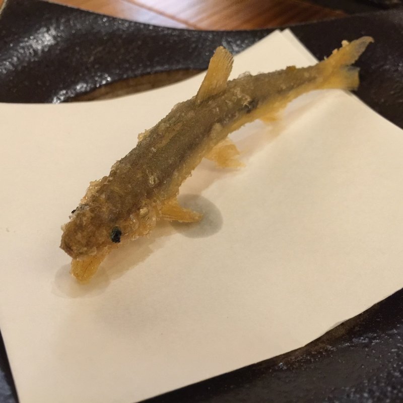 稚鮎天ざる(浜町 かねこ)