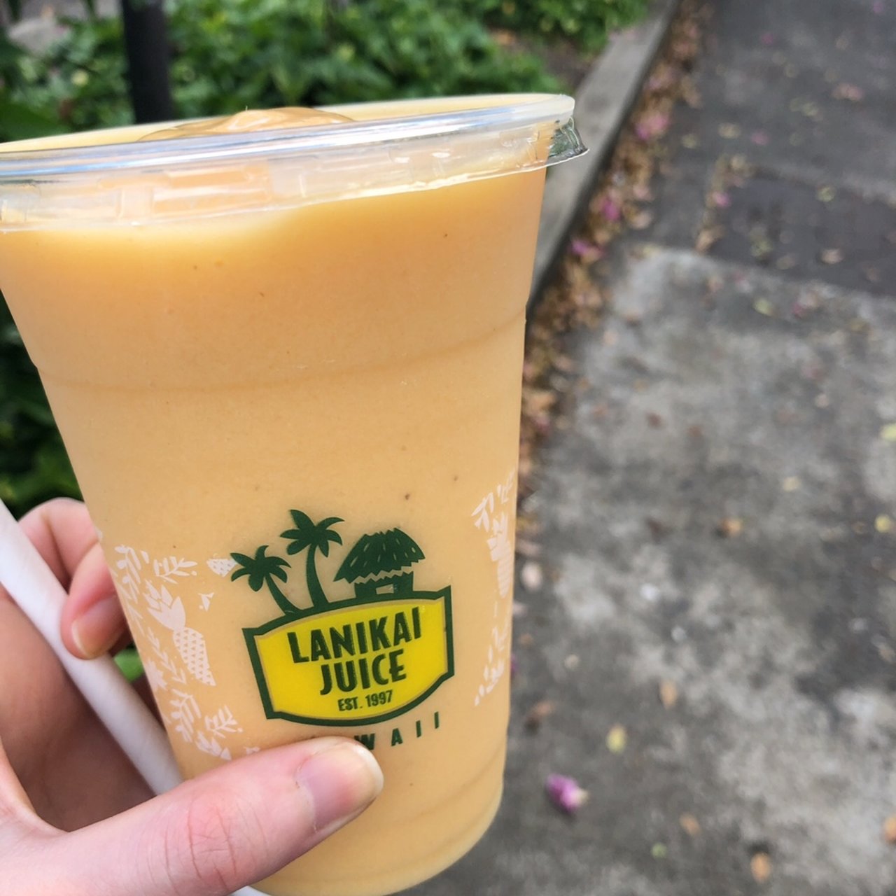 (Lanikai Juice)の口コミ一覧 おいしい！が増えるグルメアプリ「SARAH」