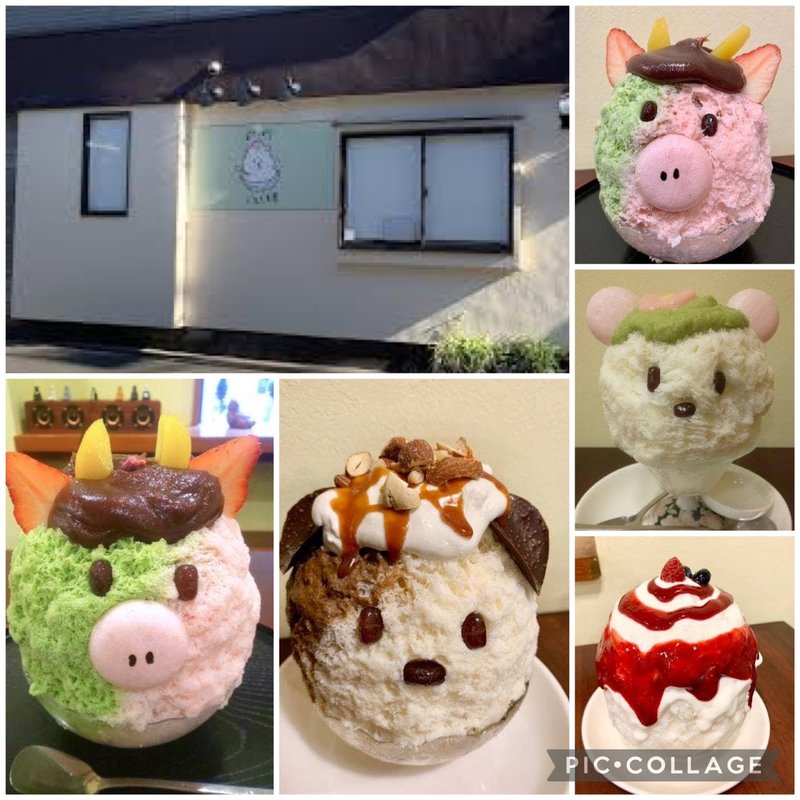 (ぱくぱくくもくま堂)