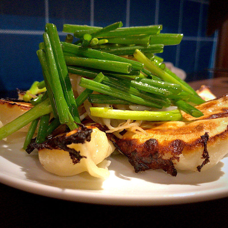 マウンテン円盤餃子 8コ(シマウマ大飯店)