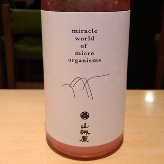 越銘醸「山城屋 生酛 純米大吟醸 にごり酒」(居酒屋　純ちゃん )