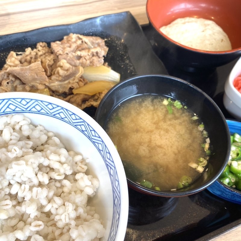 牛皿麦とろ御膳(吉野家 ２３０号線藻岩店)