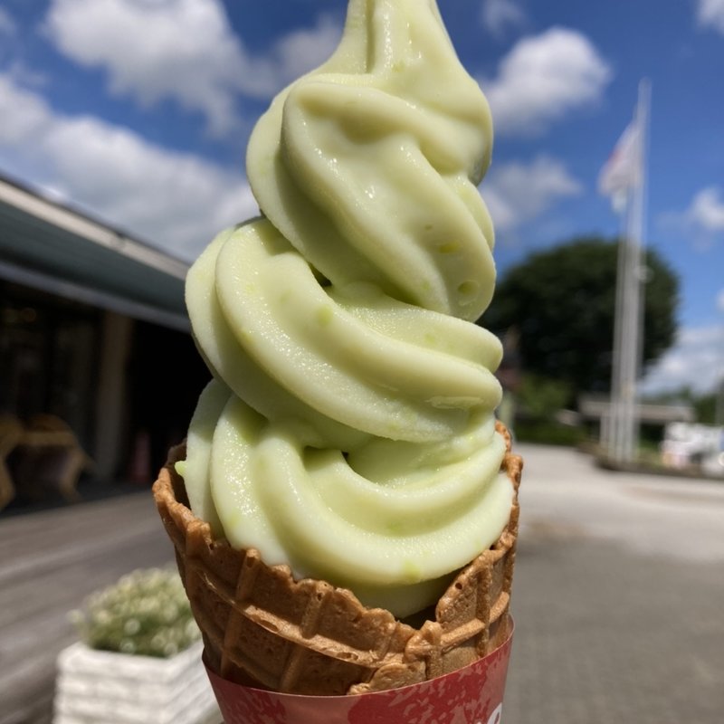 ずんだソフトクリーム(長者の茶屋)