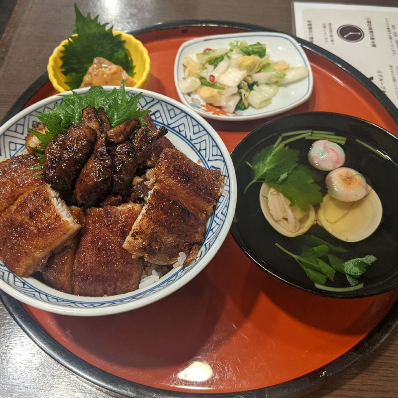肝入り上うなぎ丼(炭焼うな富士)