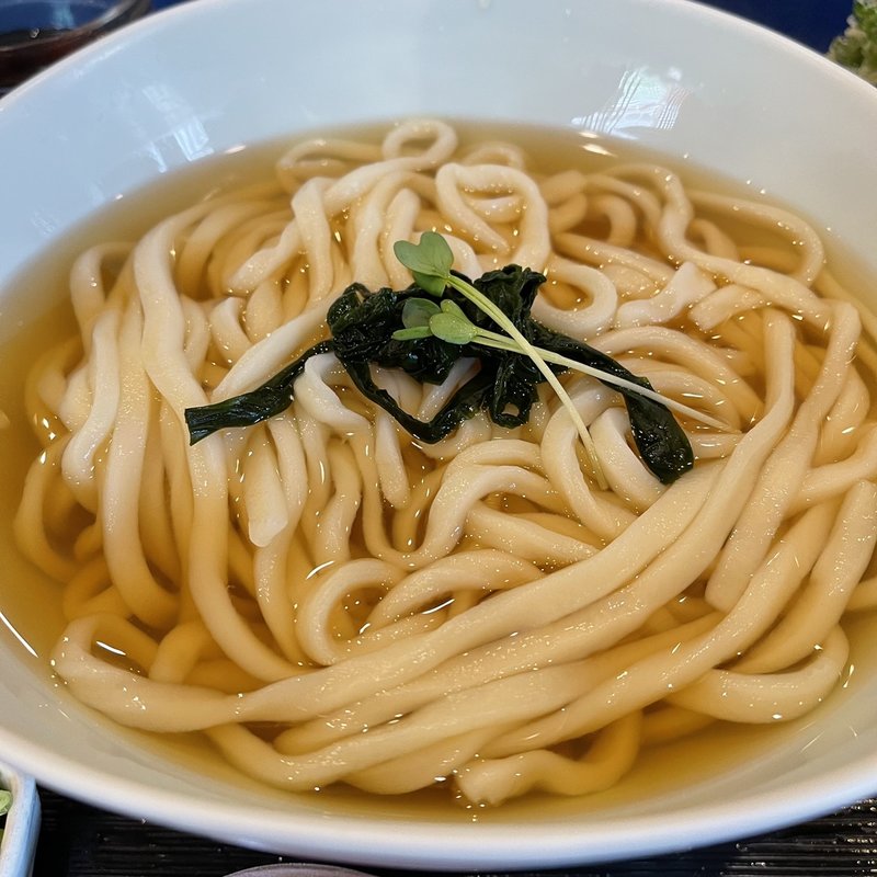 かけうどん(麺一滴)