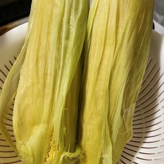 とうもろこし(自宅)