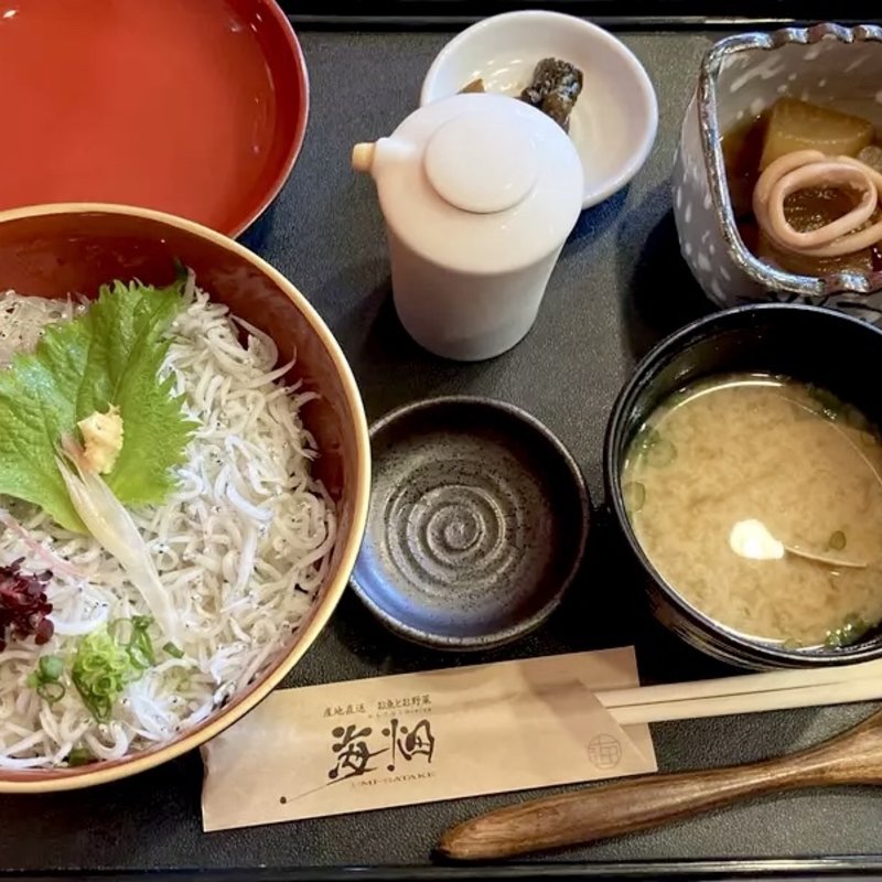 ハーフ&ハーフしらすの二色丼(海畑 長谷店)