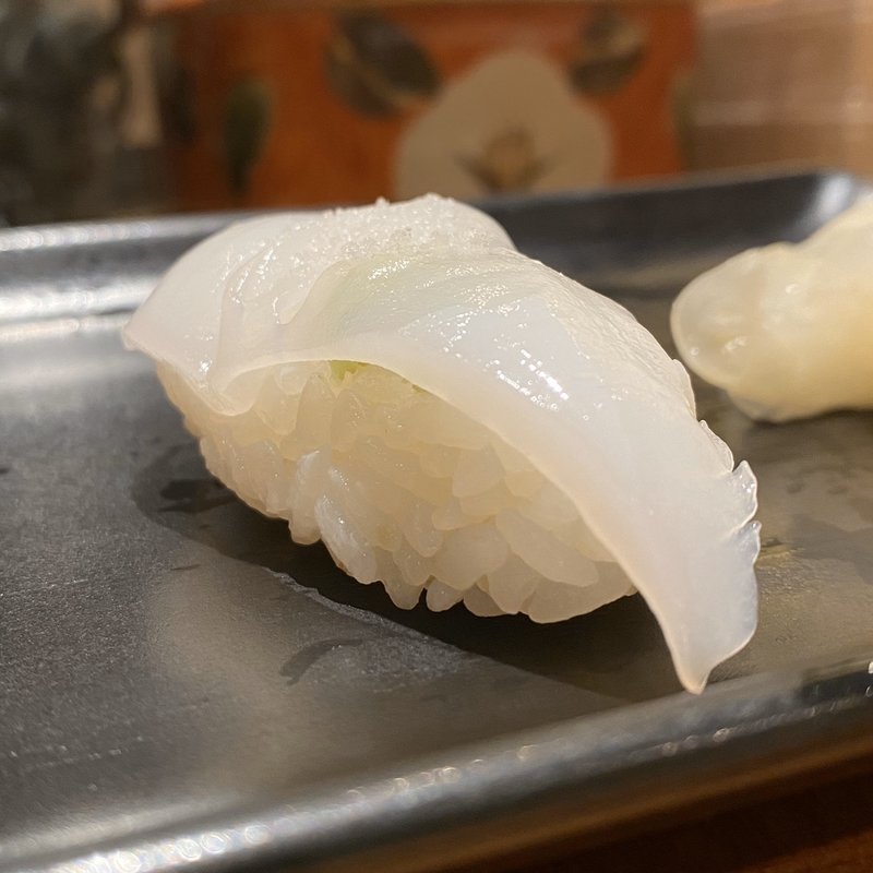 アオリイカ(いっかん)