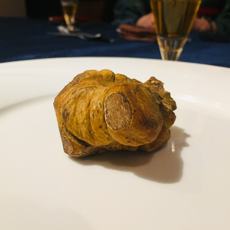 ピエモンテ州アルバ産 最高級白トリュフ(フランス厨房 旬彩 中央駅店 )