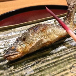 天然鮎の塩焼き(日本料理 太月)