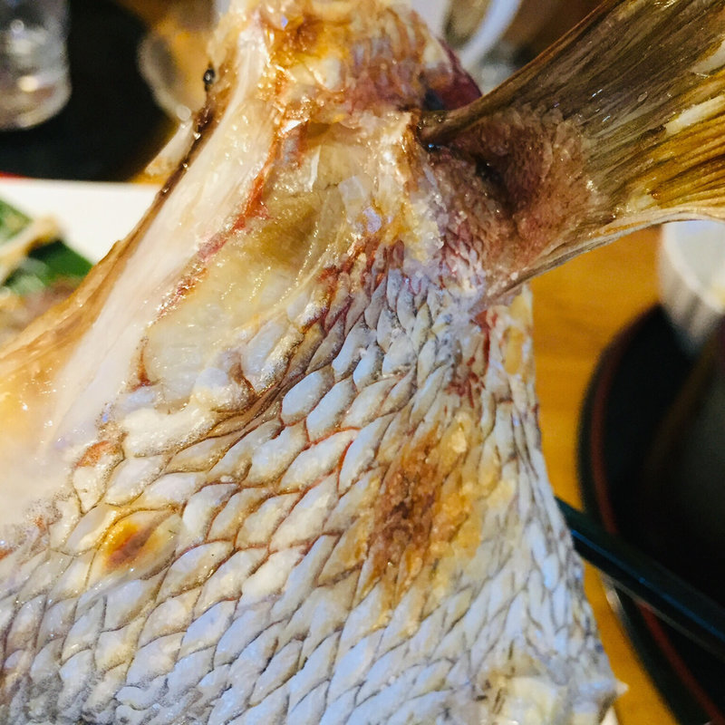 真鯛カマ焼き(お食事処はにわ )