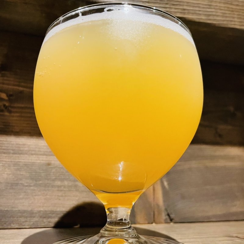 うちゅうIPA(ハーフ)(folk burgers&beers)