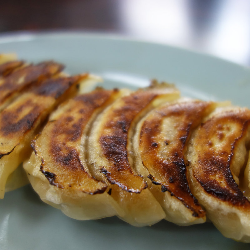 餃子10個(龍飯店)
