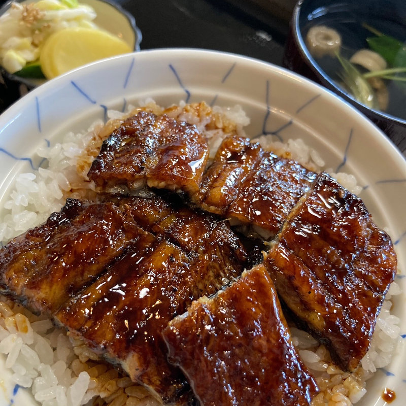 うなぎ丼(平井)