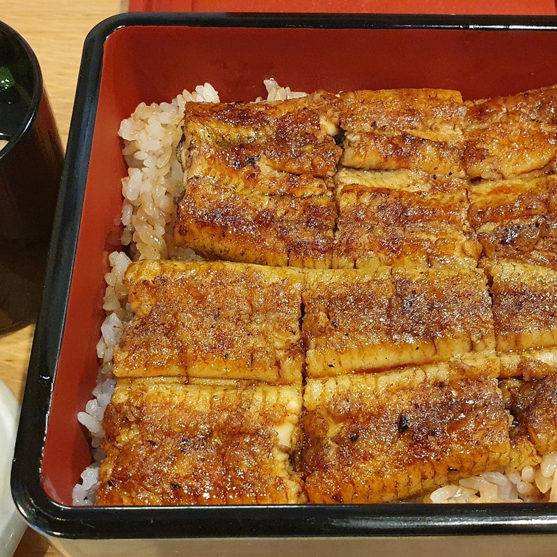 鰻重（松）(うなぎや松おか)