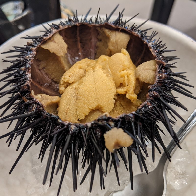 津軽海峡産殻付き雲丹(漁火の宿　三浦屋 （ミウラヤ）)