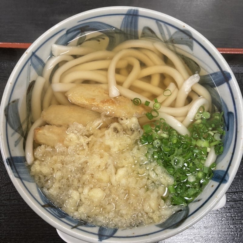 ごぼう天うどん(萩野屋)