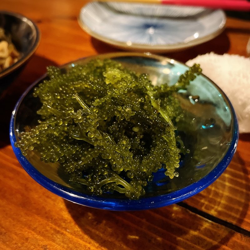 海ぶどう(昭和村 )