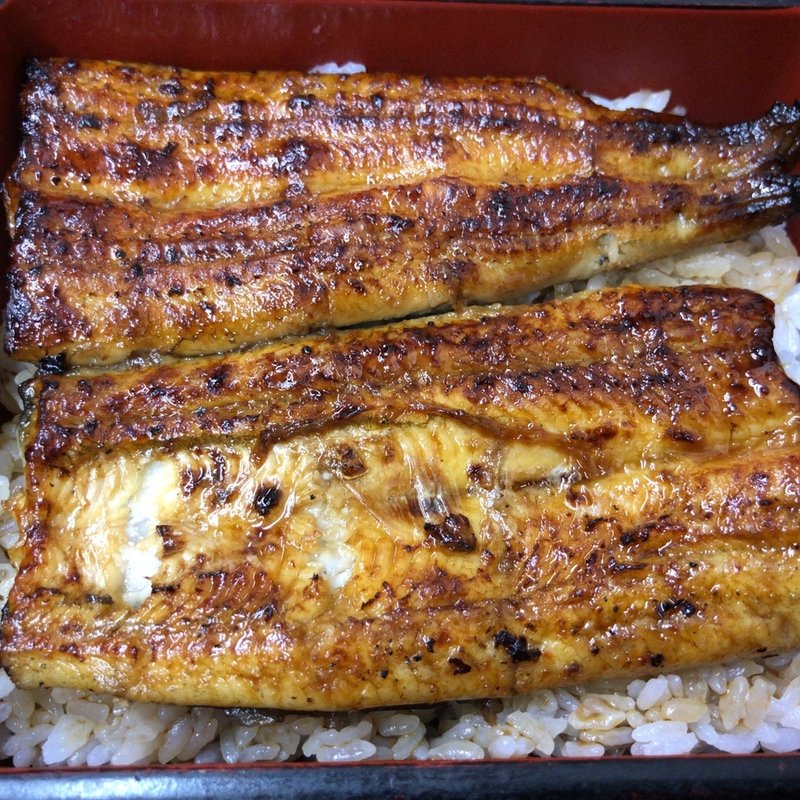 うな重 (鰻料理専門店 曳馬野 （ひくまの）)