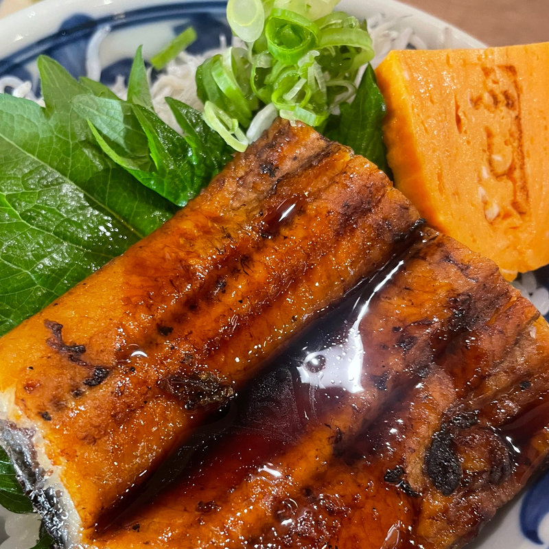 極上浜名湖しらす鰻丼(魚料理ふじい)
