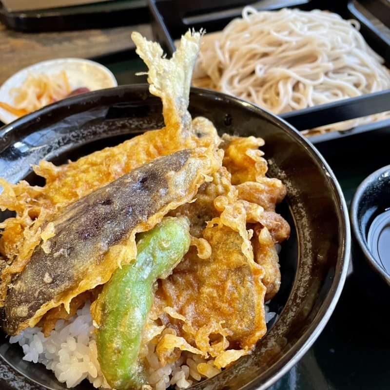 地魚天丼セット(海わ屋)