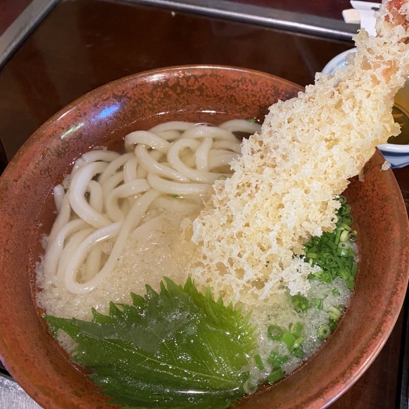 天ぷらうどん(うどん本陣 山田家 本店 （やまだや）)