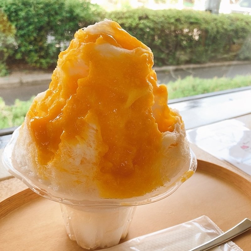 生マンゴーヨーグルト(旬月神楽白島工房)