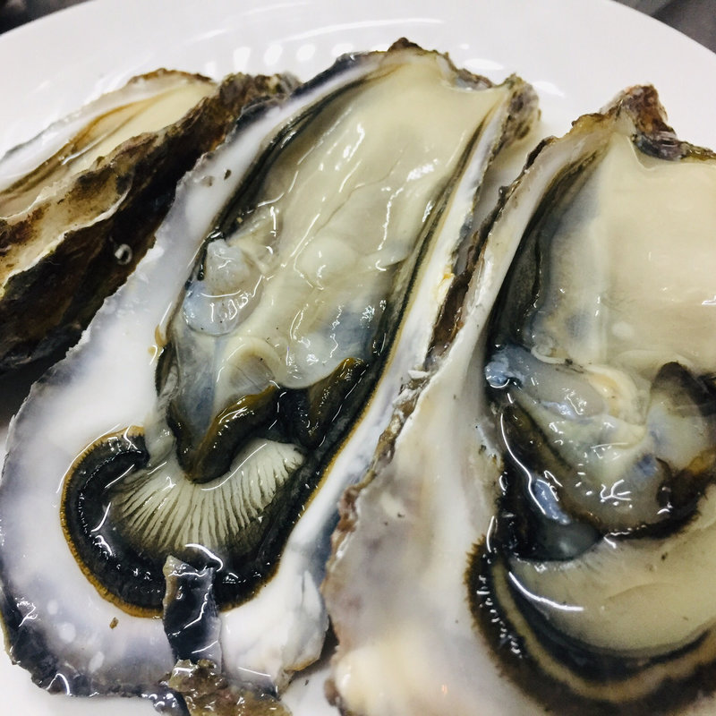 番屋牡蠣(湧別かき生産組合 )