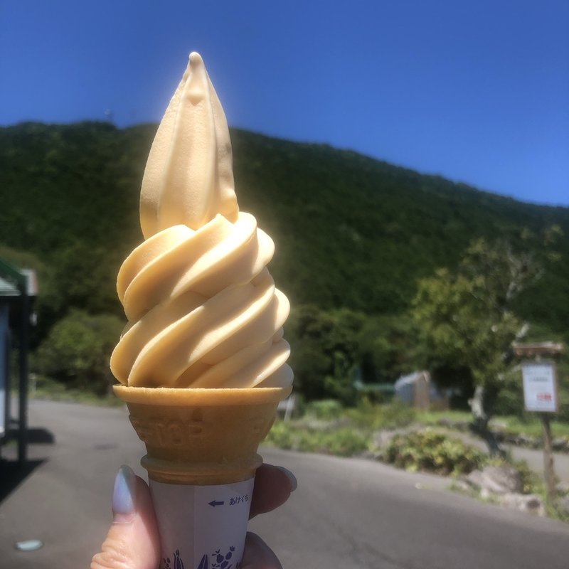 みかんソフトクリーム(レストラン アニマルキングダム )