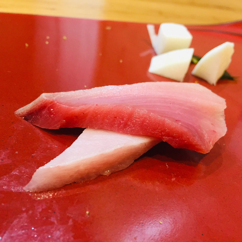 星鰹の大トロ(鮨まぁさ)