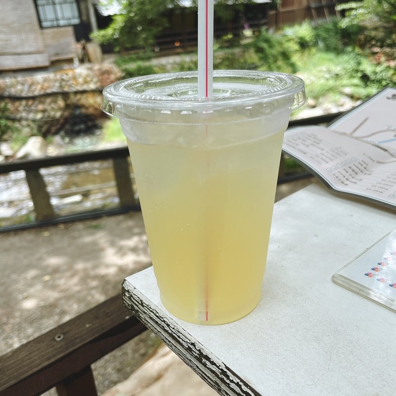 特性ジュース(オープンカフェ陽だまりの家)