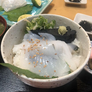 イカ丼(いか食堂 )