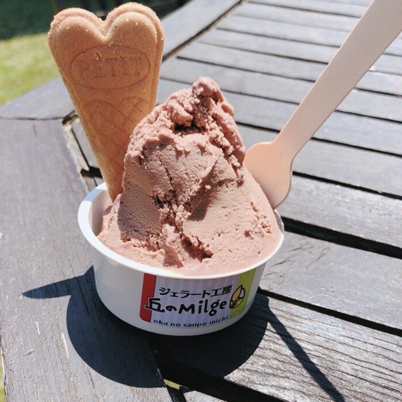 ジェラード　チョコレート(丘のさんぽ道 「ジェラート工房 丘のミルジェ」)