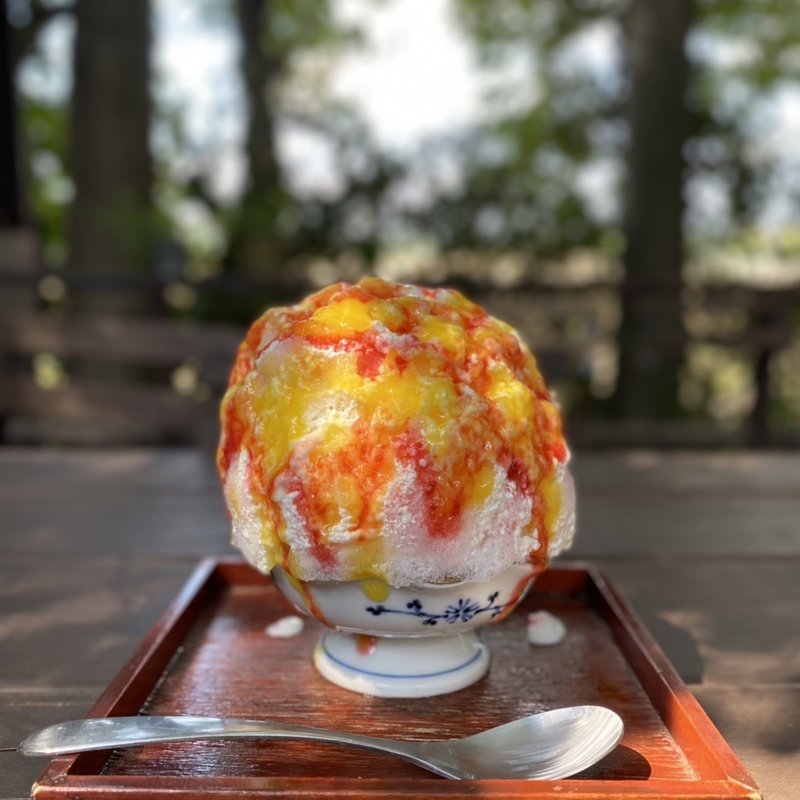 ソルダムマンゴーラッシー(ミニサイズ)(Ryan02)