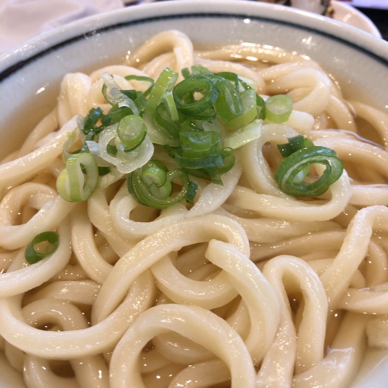 かけ小(うつ海うどん )