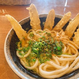 ごぼう天饂飩(麺処かわべ うどん そば 処)