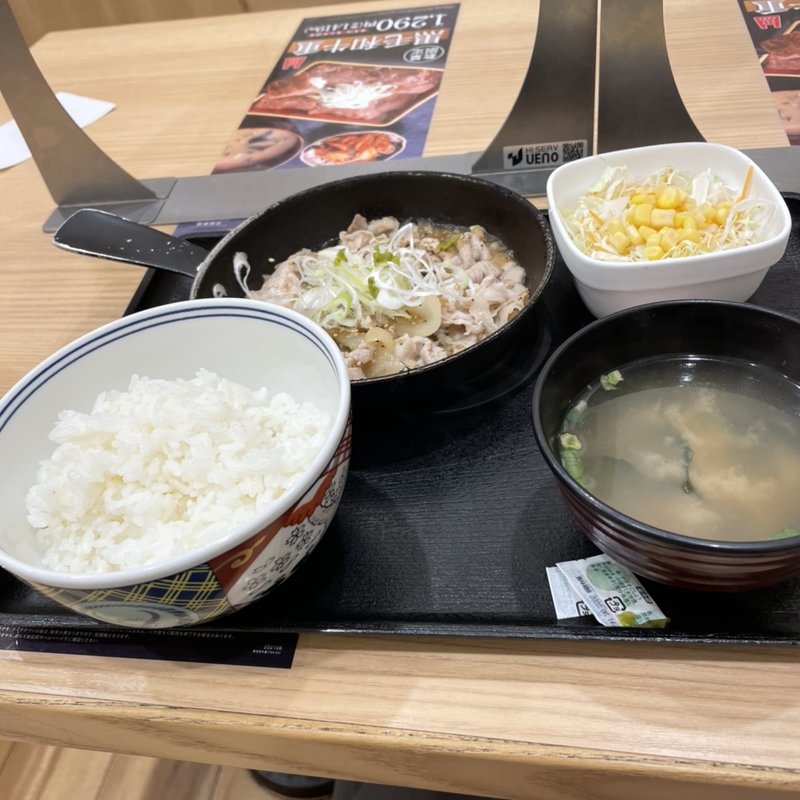 ねぎ塩豚定食(吉野家 立花駅前店)
