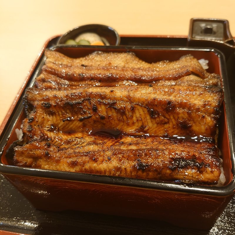 特上 うな重＋大盛り(浦)