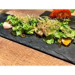 (料理屋fan)
