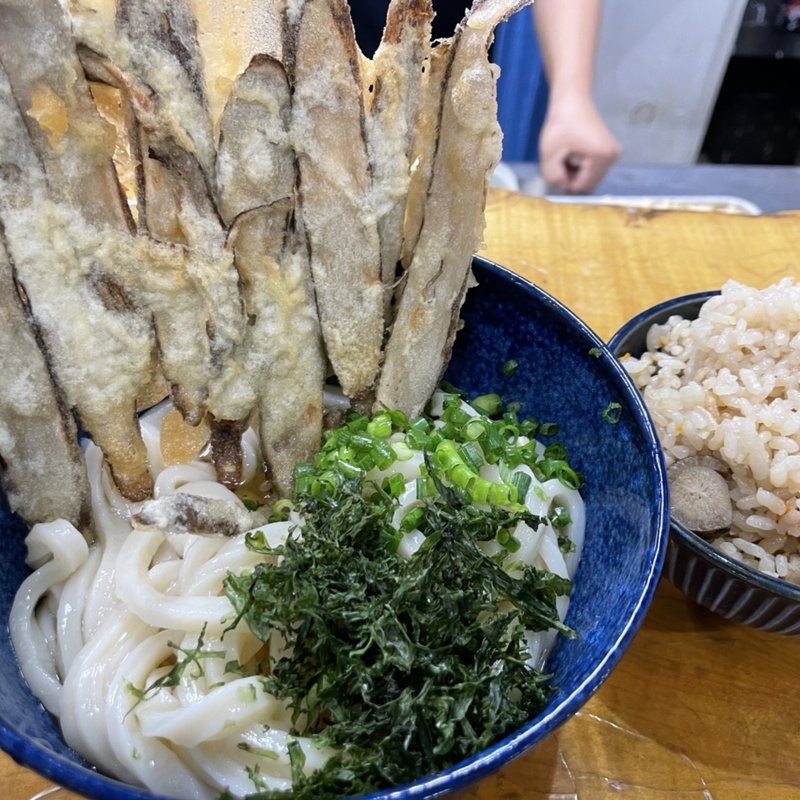 ごぼ天うどん(我龍)