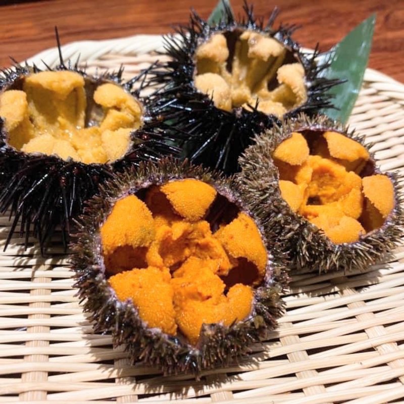 ウニ(和み 竹若 （タケワカ）)