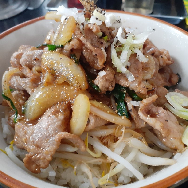 半焼肉丼(蝦夷)