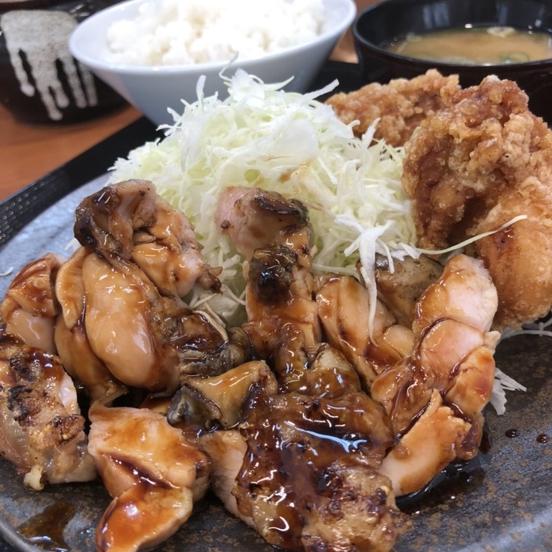 二種盛り定食(からやま 堺長曽根店)