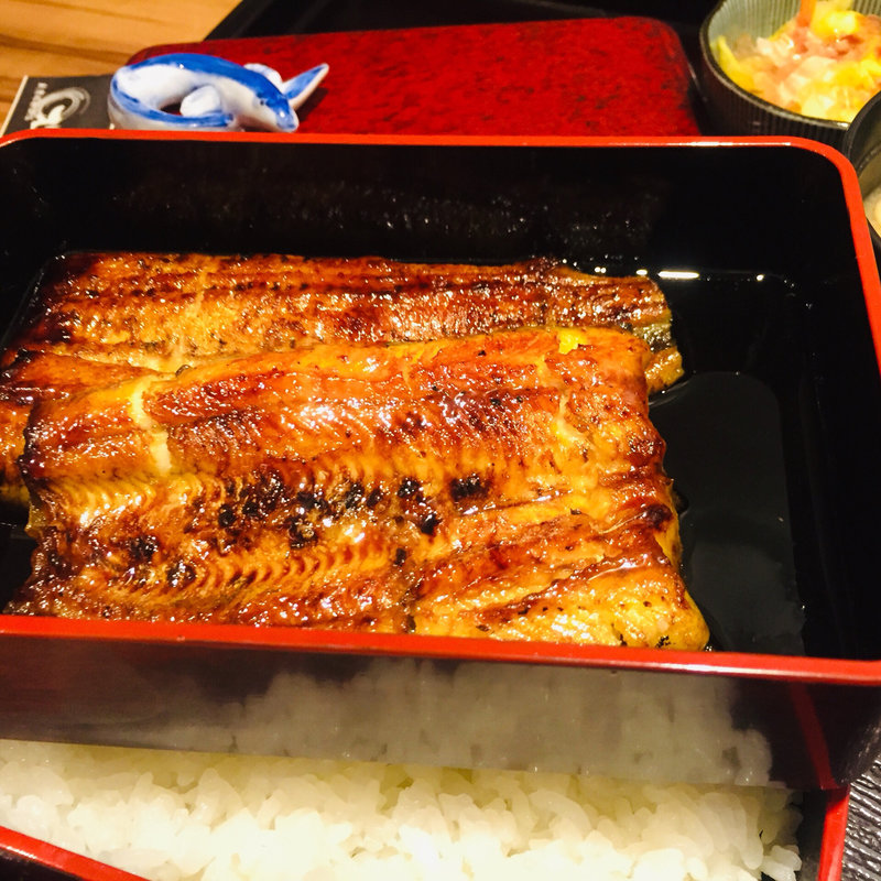 うな重（中）(うなぎの松重 )