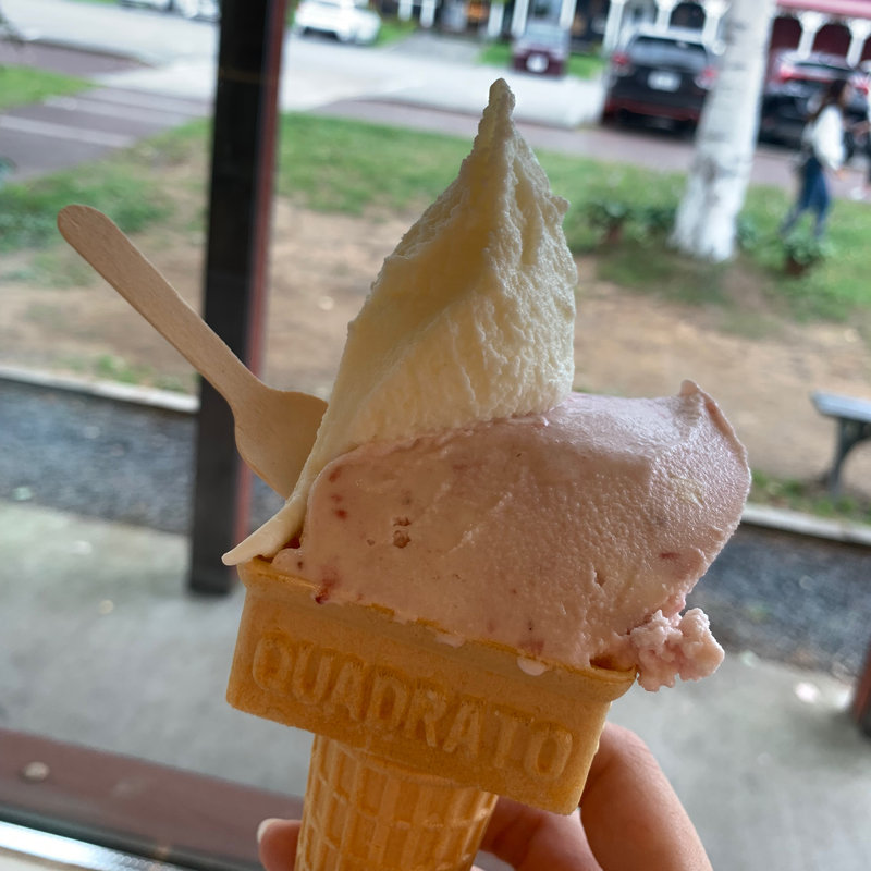 アイスクリーム(高橋牧場　ニセコミルク工房)