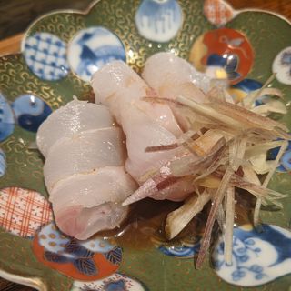 クエ(松陰鶴水)