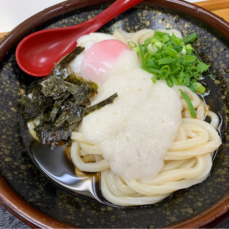 山芋ぶっかけ中(うどん市場 兵庫町店 )