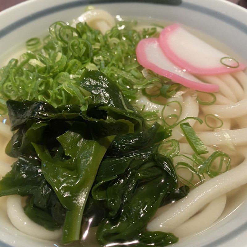 うどん(たぬき 表町店 )