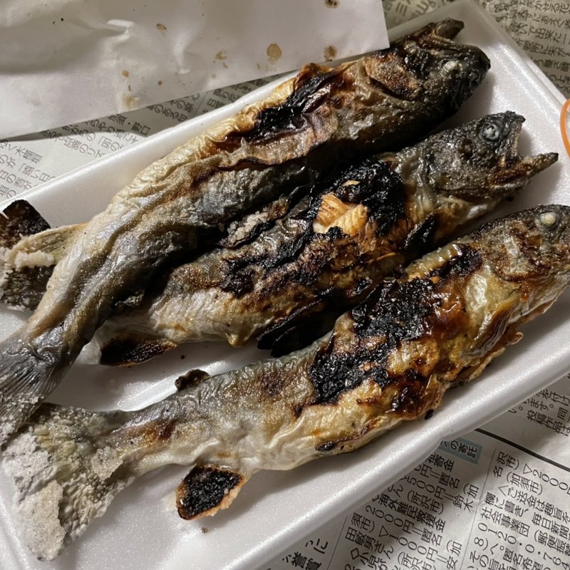 イワナ(和紙の里 ひがしちちぶ)